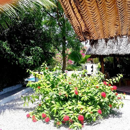 Vanilla Villa Nungwi Dış mekan fotoğraf