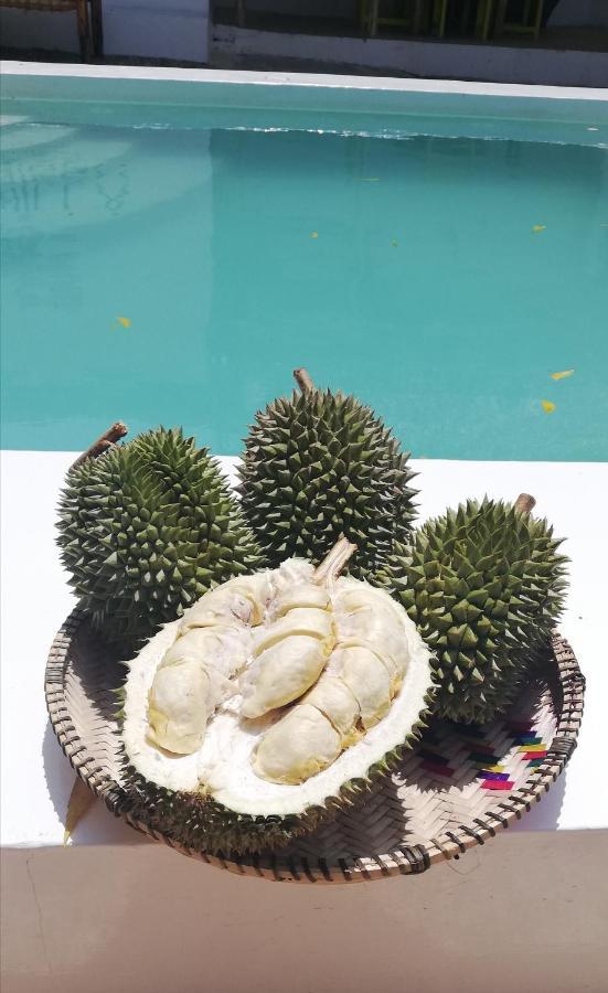 Vanilla Villa Nungwi Dış mekan fotoğraf