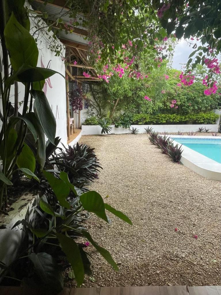 Vanilla Villa Nungwi Dış mekan fotoğraf