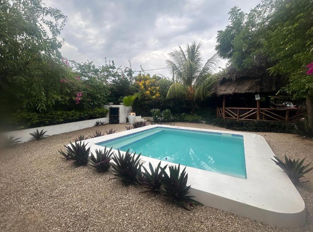 Vanilla Villa Nungwi Dış mekan fotoğraf