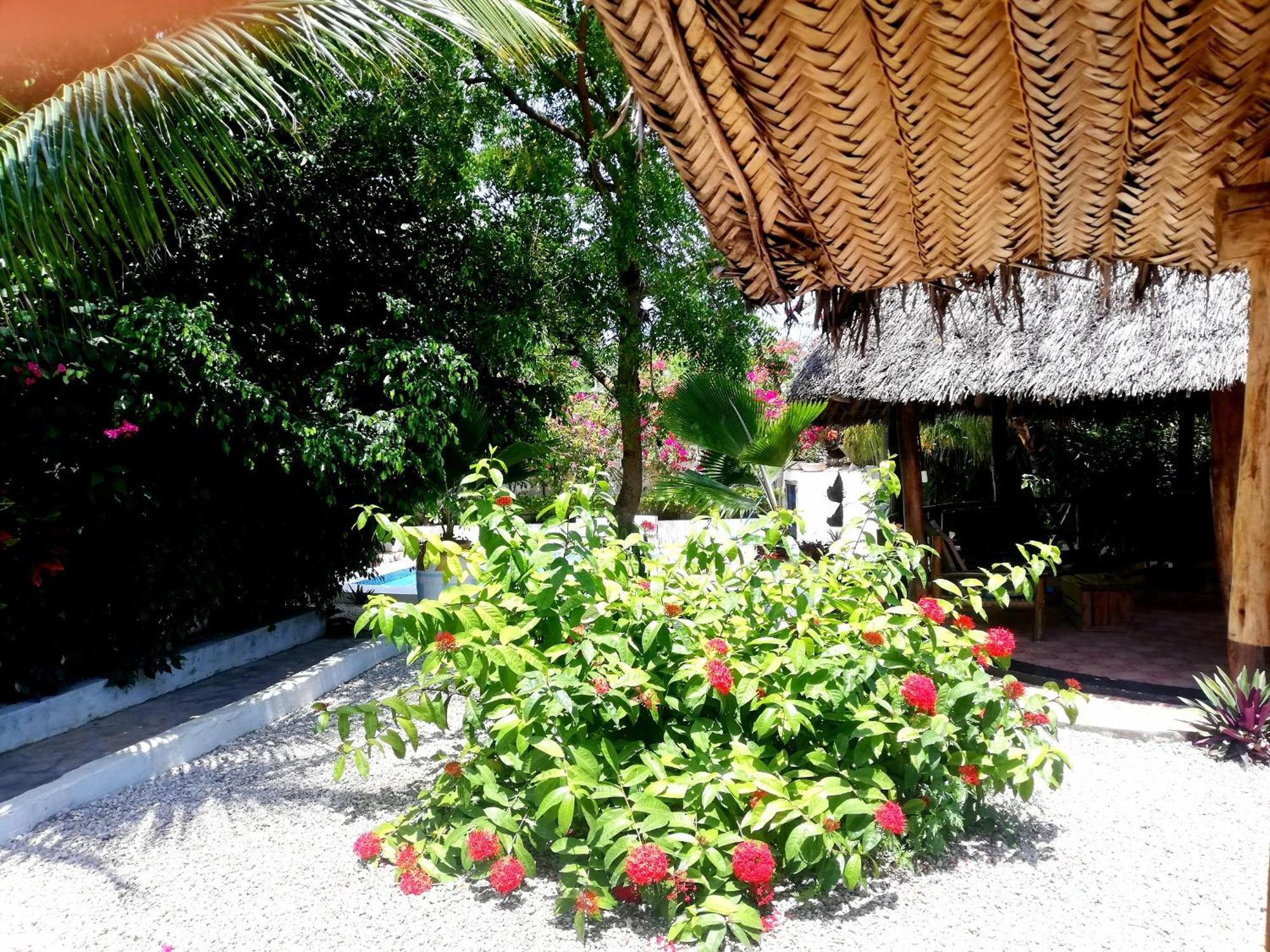 Vanilla Villa Nungwi Dış mekan fotoğraf